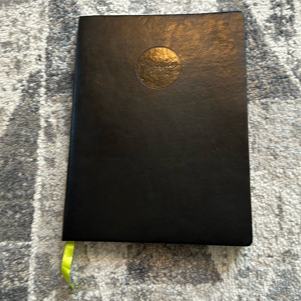 2018 Large Passion Planner (never used)
